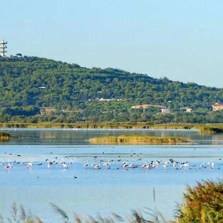 Apartment Le Sunset-cap Sud-23 By Interhome